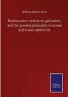 Rudimentary treatise on galvanism, and the general principles of animal and voltaic electricity