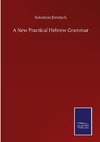 A New Practical Hebrew Grammar