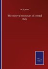 The mineral resources of central Italy