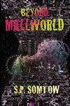 Beyond Mallworld