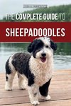 The Complete Guide to Sheepadoodles