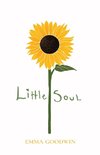 Little Soul