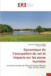 Dynamique de l'occupation du sol et impacts sur les zones humides