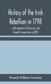 History of the Irish rebellion in 1798