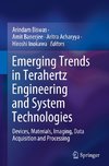 Emerging Trends in Terahertz Engineering and System Technologies