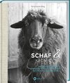 Schaf und Mensch