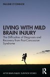 Living with Mild Brain Injury