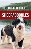 The Complete Guide to Sheepadoodles