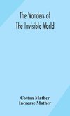 The wonders of the invisible world