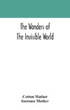 The wonders of the invisible world