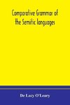 Comparative grammar of the Semitic languages