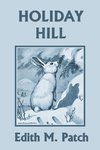 Holiday Hill (Yesterday's Classics)