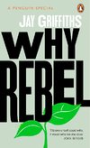 Why Rebel