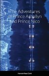 The Adventures of Prince Ashallyn and Prince Nico