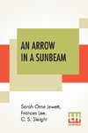 An Arrow In A Sunbeam