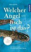 Welcher Angelfisch ist das?