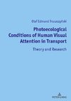 Photoecological Conditions of Human Visual Attention in Transport