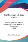 The Osteology Of Amia Calva