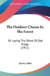 The Outdoor Chums In The Forest