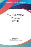 The Little Wilful Princess (1918)