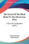 The Secret Of The Black Butte Or The Mysterious Mine