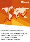 Die Bedeutung von Influencer Marketing auf Instagram als strategisches Marketinginstrument. Empfehlungen für den langfristigen Erfolg