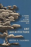 Ant Architecture