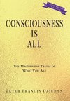 Consciousness Is All