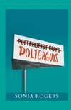 Polterguys