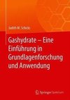 Gashydrate - Eine Einführung in Grundlagenforschung und Anwendung