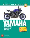 Yamaha MT-09