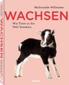 Wachsen