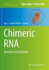 Chimeric RNA