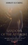 Shadows of the Afterlife