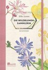 Die Wildblumensammlerin