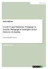 Covid-19 and Pandemic Pedagogy in Zambia. Pedagogical Strategies in ten Districts of Zambia