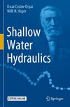 Shallow Water Hydraulics