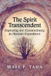 Spirit Transcendent