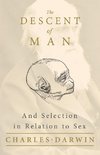 The Descent of Man - And Selection in Relation to Sex