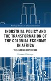 Industrial Policy and the Transformation of the Colonial Economy in Africa