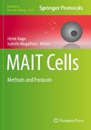 MAIT Cells