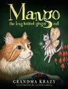 Mango The Long Haired Ginger Cat