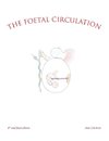 The Foetal Circulation