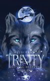 Trinity - Defying Destiny