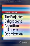 The Projected Subgradient Algorithm in Convex Optimization