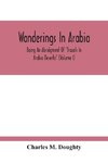 Wanderings In Arabia