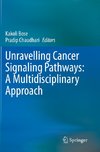 Unravelling Cancer Signaling Pathways: A Multidisciplinary Approach