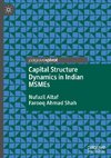 Capital Structure Dynamics in Indian MSMEs