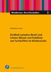 Kindheit zwischen Recht und Schutz: Wissen und Praktiken von Fachkräften im Kinderschutz