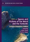 Spaces and Fictions of the Weird and the Fantastic